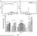 Fig. 02 - AN ELECTROCHEMICAL CELL ELECTROLYTE, AND CELLS THEREOF