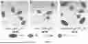 Fig. 07 - AN ELECTROCHEMICAL CELL ELECTROLYTE, AND CELLS THEREOF