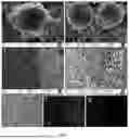 Fig. 09 - AN ELECTROCHEMICAL CELL ELECTROLYTE, AND CELLS THEREOF