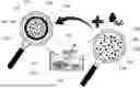 Fig. 01 - USE OF SPONTANEOUS ENCAPSULATION DELIVERY FOR THE PURPOSE OF PROVIDING THERAPEUTIC AID TO DESIRABLE AQUATIC ORGANISMS OR THE MITIGATION OF UNDESIRABLE AQUATIC ORGANISMS RESIDING WITHIN AN AQUEOUS ENVIRONMENT