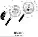 Fig. 04 - USE OF SPONTANEOUS ENCAPSULATION DELIVERY FOR THE PURPOSE OF PROVIDING THERAPEUTIC AID TO DESIRABLE AQUATIC ORGANISMS OR THE MITIGATION OF UNDESIRABLE AQUATIC ORGANISMS RESIDING WITHIN AN AQUEOUS ENVIRONMENT