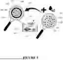 Fig. 06 - USE OF SPONTANEOUS ENCAPSULATION DELIVERY FOR THE PURPOSE OF PROVIDING THERAPEUTIC AID TO DESIRABLE AQUATIC ORGANISMS OR THE MITIGATION OF UNDESIRABLE AQUATIC ORGANISMS RESIDING WITHIN AN AQUEOUS ENVIRONMENT