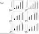 Fig. 02 - PEPTIDE WITH NEUTRALIZING ACTIVITY AGAINST SEVERE ACUTE RESPIRATORY SYNDROME CORONAVIRUS 2