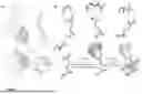 Fig. 02 - De novo designed modular peptide binding proteins by superhelical matching