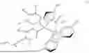Fig. 09 - METALLOCENES CONTAINING ALKENYLOXYPHENYL GROUPS PRODUCING HIGH MOLECULAR WEIGHT POLYETHYLENE