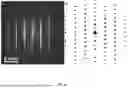 Fig. 09 - 2D METAL SELENIDE-SILICON STEEP SUB-THRESHOLD HETEROJUNCTION TRIODES WITH HIGH ON-CURRENT DENSITY