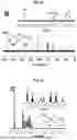 Fig. 07 - COMPOSITION FOR CONTROLLING PLANT VIRUSES CONTAINING LEVAN AS AN EFFECTIVE INGREDIENT AND METHOD FOR CONTROLLING PLANT VIRUSES USING THE SAME