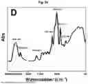 Fig. 08 - COMPOSITION FOR CONTROLLING PLANT VIRUSES CONTAINING LEVAN AS AN EFFECTIVE INGREDIENT AND METHOD FOR CONTROLLING PLANT VIRUSES USING THE SAME