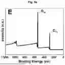 Fig. 09 - COMPOSITION FOR CONTROLLING PLANT VIRUSES CONTAINING LEVAN AS AN EFFECTIVE INGREDIENT AND METHOD FOR CONTROLLING PLANT VIRUSES USING THE SAME