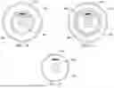 Fig. 08 - INTRAVASCULAR IMAGING DEVICES