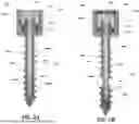 Fig. 03 - SCREW IMPLANT AND METHODS FOR SAME