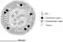 Fig. 02 - COMPOSITIONS AND METHODS FOR DELIVERY OF NUCLEIC ACID THERAPEUTICS