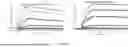 Fig. 167 - COMPOSITIONS AND METHODS FOR NON-GENOTOXIC CELL CONDITIONING