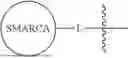 Fig. 124 - SMARCA DEGRADERS AND USES THEREOF