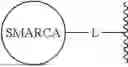 Fig. 152 - SMARCA DEGRADERS AND USES THEREOF