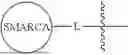 Fig. 474 - SMARCA DEGRADERS AND USES THEREOF