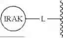 Fig. 481 - SMARCA DEGRADERS AND USES THEREOF