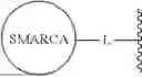 Fig. 486 - SMARCA DEGRADERS AND USES THEREOF