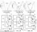 Fig. 10 - ADAPTIVE LINEAR ACCELERATOR (LINAC) ISOCENTER BASED ON INDIVIDUAL TREATMENT PLAN
