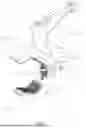 Fig. 09 - ELECTRIC-ASSISTED SLIDING BOARD