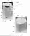 Fig. 07 - NONWOVEN ROLLED PRODUCT AND METHOD OF DISPENSING THE SAME