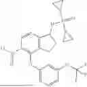 Fig. 581 - PHOSPHORAMIDATE COMPOUNDS AND USES THEREOF
