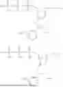 Fig. 613 - MODIFIED NUCLEOTIDES AND USES THEREOF