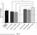 Fig. 09 - HYDROLYZED COLLAGEN PEPTIDES COMPRISING HYDROXYPROLINE AND METHODS OF MAKING AND USING THE SAME