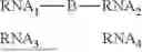 Fig. 02 - COMPOSITIONS AND METHODS FOR TREATING CANCERS