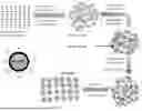 Fig. 02 - CARBON QUANTUM DOTS AND METHODS OF PREPARATION THEREOF