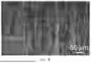 Fig. 08 - PREPARATION METHOD AND APPLICATION FOR BIONIC ENZYME AEROGEL REACTOR