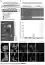 Fig. 09 - Articles and Methods for Treating Renal Fibrosis
