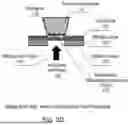 Fig. 06 - Devices And Methods For Mitochondria Replacement And For Generating Cellular Therapeutics