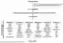 Fig. 49 - Devices And Methods For Mitochondria Replacement And For Generating Cellular Therapeutics