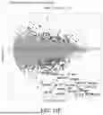 Fig. 65 - Devices And Methods For Mitochondria Replacement And For Generating Cellular Therapeutics