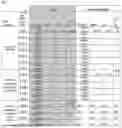 Fig. 02 - DIGITAL AMPLIFICATION METHOD FOR QUANTIFYING AND/OR DETERMINING INTEGRITY OF HUMAN MALE DNA