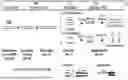 Fig. 02 - METHOD OF PARALLEL, RAPID AND SENSITIVE DETECTION OF DNA DOUBLE STRAND BREAKS