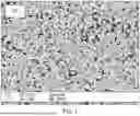 Fig. 02 - IMPROVED CEMENTED CARBIDES
