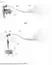 Fig. 02 - FIBER OPTIC GROUND SPIKE LIGHT FIXTURE