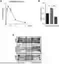 Fig. 01 - Method and System for Imaging and Analysis of a Biological Specimen