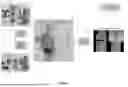 Fig. 08 - SYSTEM AND METHOD FOR SYNCHRONIZING RADIOLOGIC EVENTS WITH NON-RADIOLOGIC IMAGES