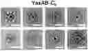 Fig. 01 - YaxAB NANOPORE, NANOPORE SYSTEM COMPRISING SAME AND APPLICATIONS THEREOF