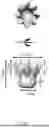Fig. 06 - YaxAB NANOPORE, NANOPORE SYSTEM COMPRISING SAME AND APPLICATIONS THEREOF