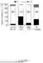 Fig. 147 - YaxAB NANOPORE, NANOPORE SYSTEM COMPRISING SAME AND APPLICATIONS THEREOF