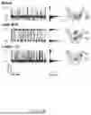 Fig. 35 - YaxAB NANOPORE, NANOPORE SYSTEM COMPRISING SAME AND APPLICATIONS THEREOF