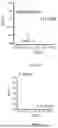 Fig. 07 - METHODS AND KITS FOR PREDICTING CANCER PROGNOSIS AND METASTASIS