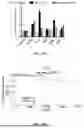 Fig. 55 - METHODS AND KITS FOR PREDICTING CANCER PROGNOSIS AND METASTASIS