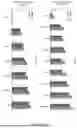 Fig. 64 - METHODS AND KITS FOR PREDICTING CANCER PROGNOSIS AND METASTASIS