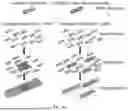 Fig. 72 - METHODS AND KITS FOR PREDICTING CANCER PROGNOSIS AND METASTASIS