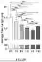 Fig. 75 - METHODS AND KITS FOR PREDICTING CANCER PROGNOSIS AND METASTASIS
